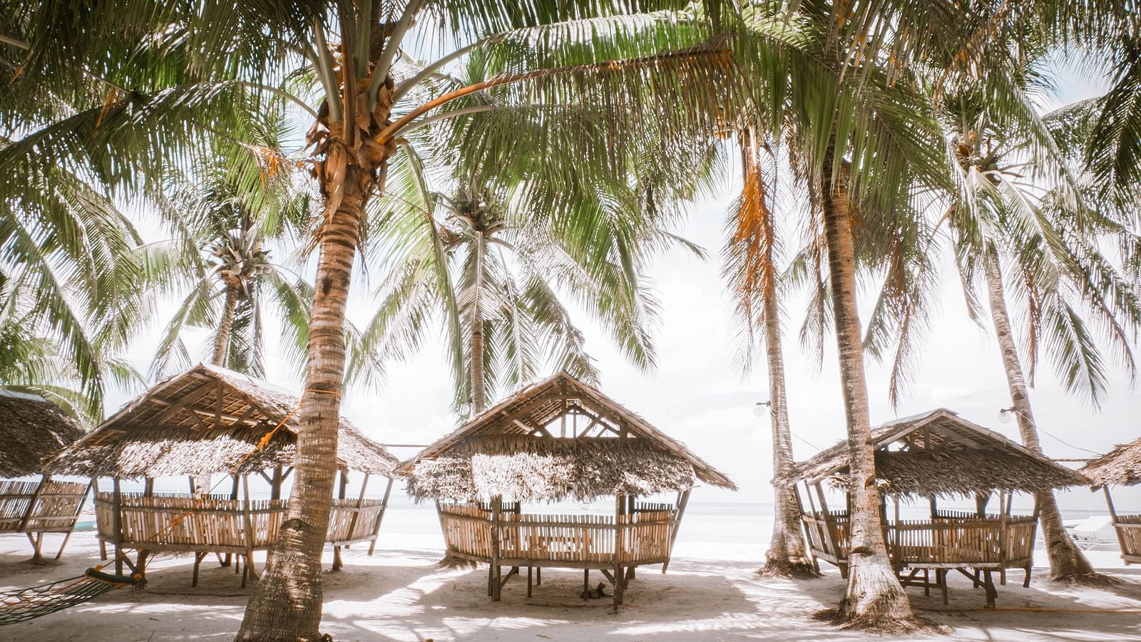 beach shacks in goa on the beach made out of dry coconut leaves2