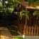 Young Island Resorts - Coorg Coorg Club Room Young Island Resorts Coorg 1