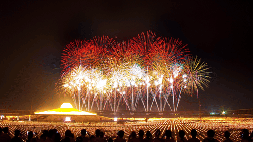 A group of people watching fireworks together from a distance - New Year Events in Kochi.