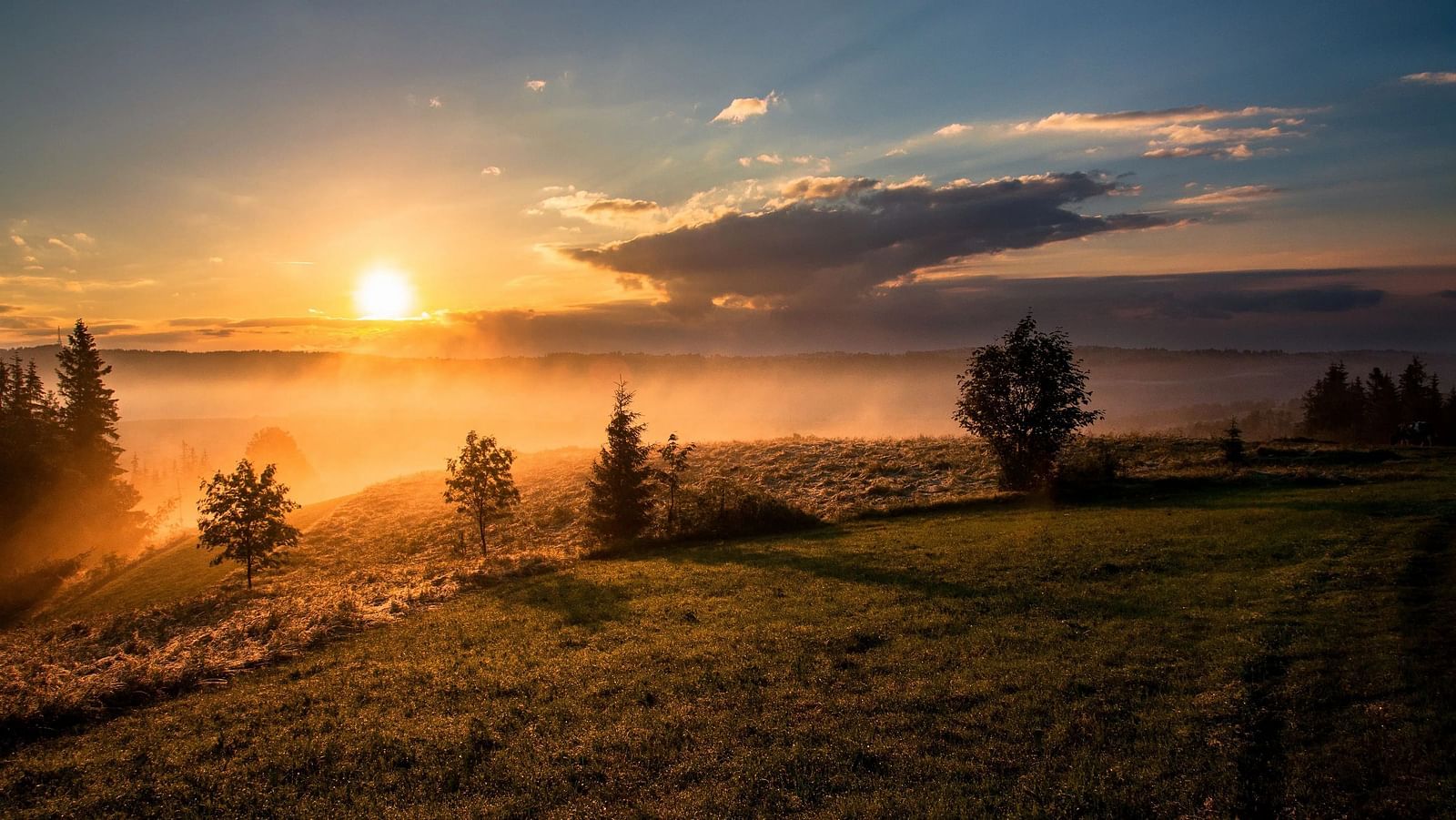Twin suns rise over a landscape with rolling hills and trees.