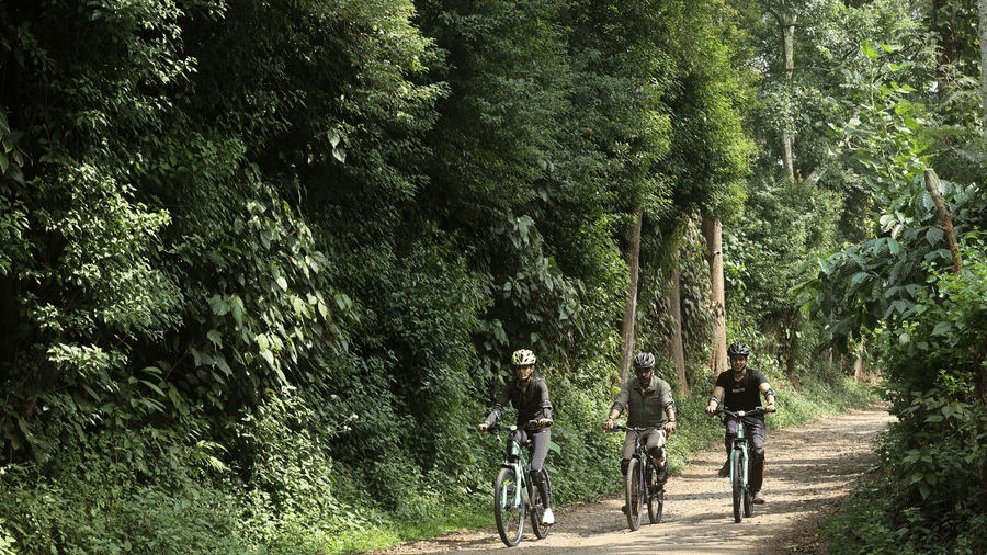 Group cycling through a lush jungle trail near Evolve Back Coorg
