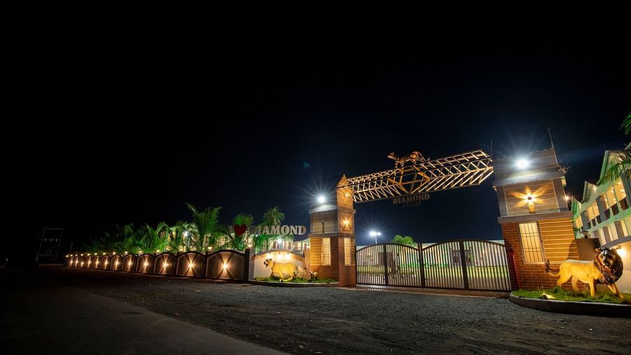  A beautifully lit resort entrance at night, with decorative lights along the pathway and buildings glowing in the background - VITS Select Diamond Resort, Sasan Gir