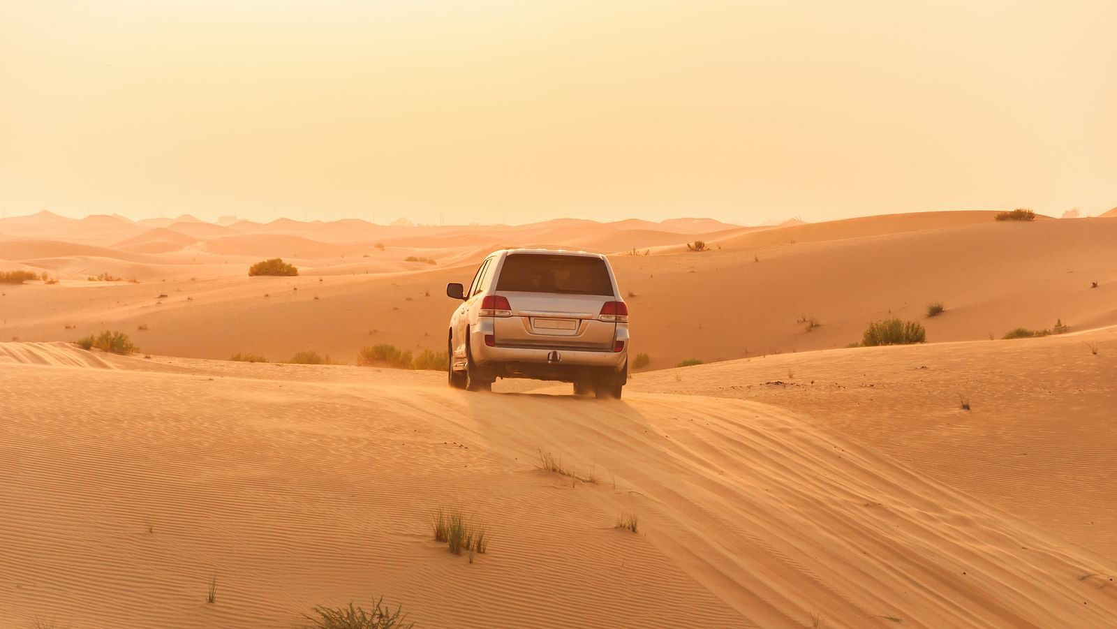 An image of the desert with a car being drove through it 