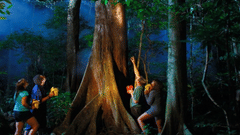 A number of people seen admiring a tree during a night walk arranged by Barefoot at Havelock in their rainforest premises showcasing a thick tree with dense foliage surrounding it.