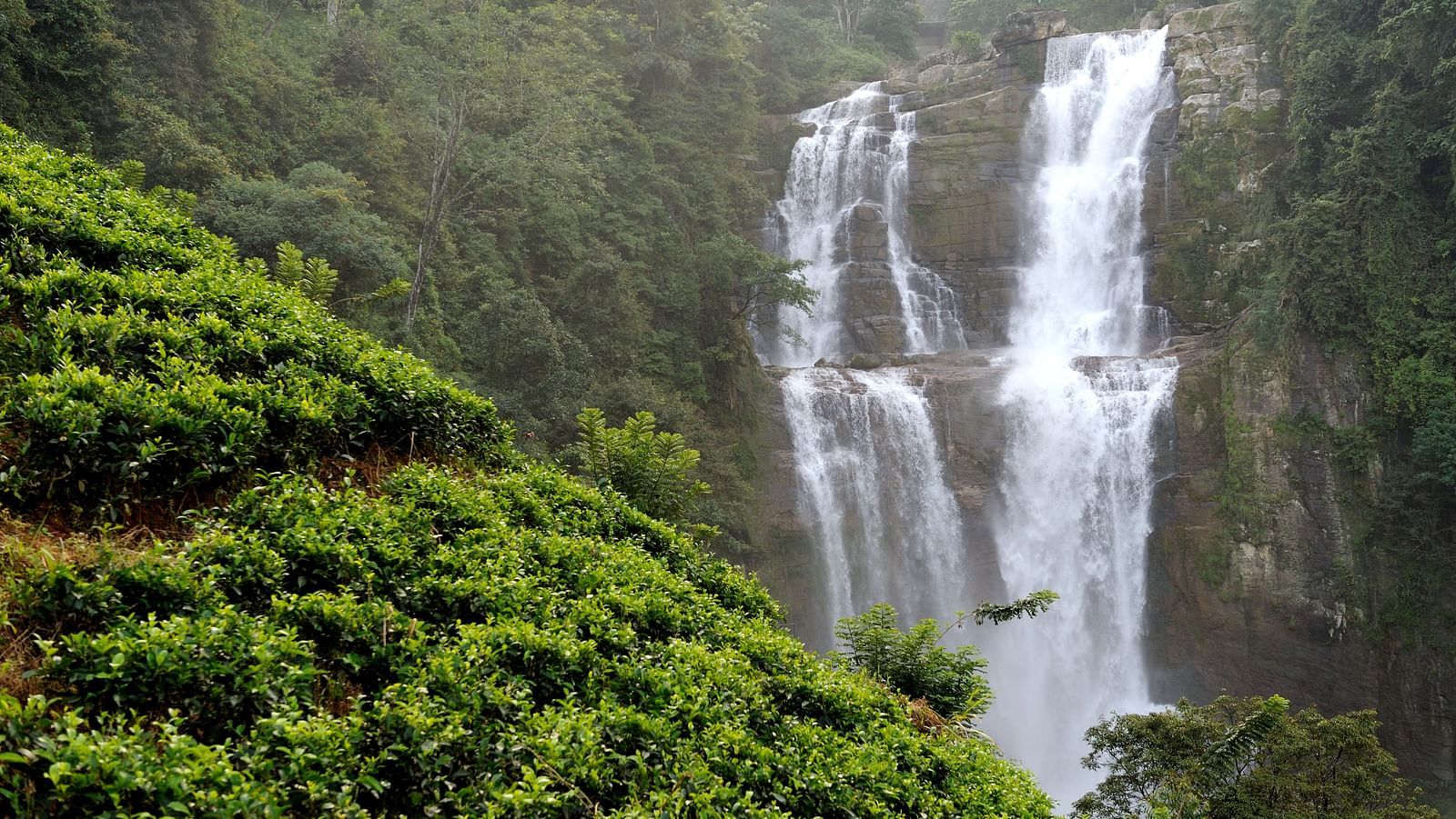 Soochipara Waterfalls cascading through lush greenery in Wayanad. Waterfalls
