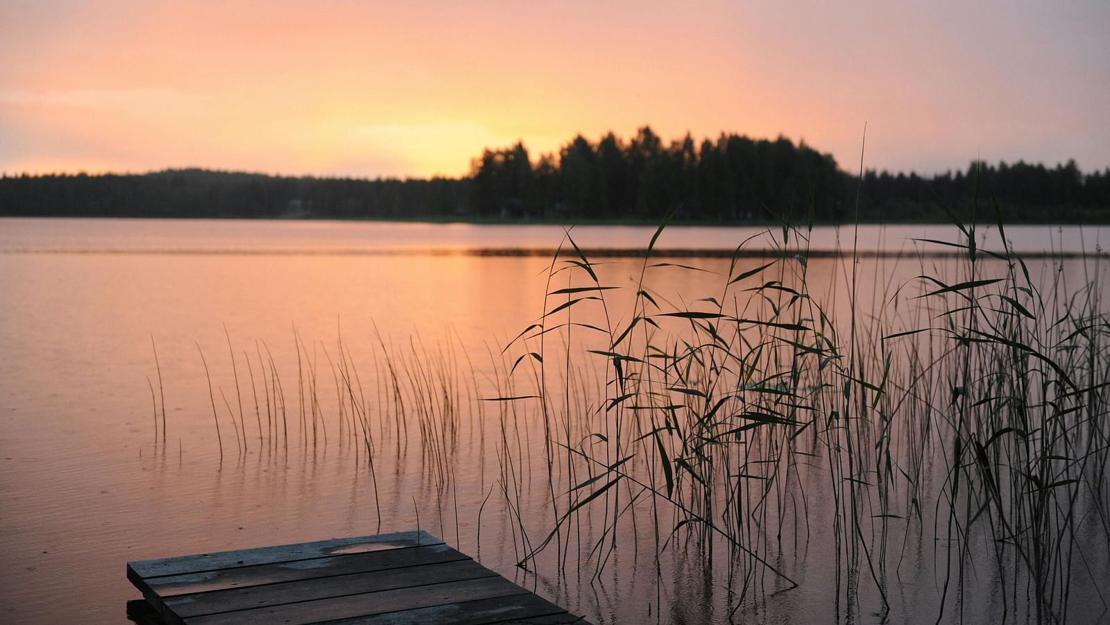 an image of a lake surrounded by trees