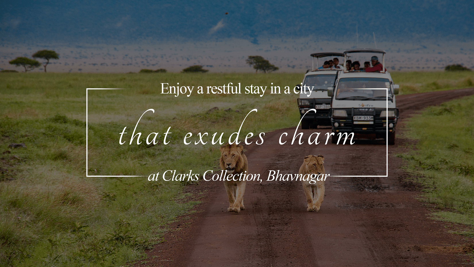 Clarks Collection