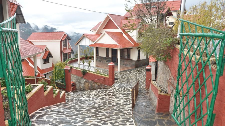 DSC 0185