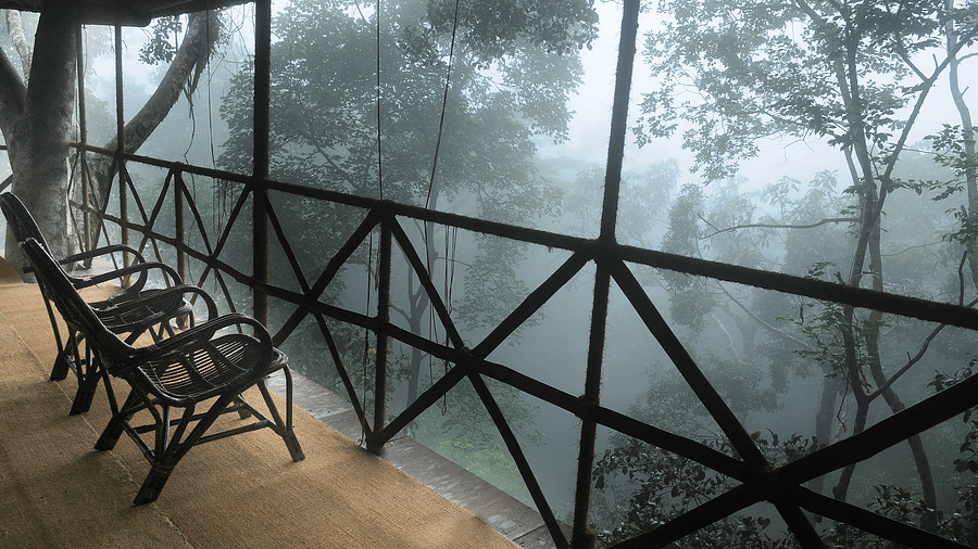 Two chairs in a balcony with forest views | Vythiri Resort. Wayanad