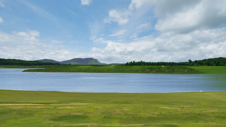 Backawater view from the resort