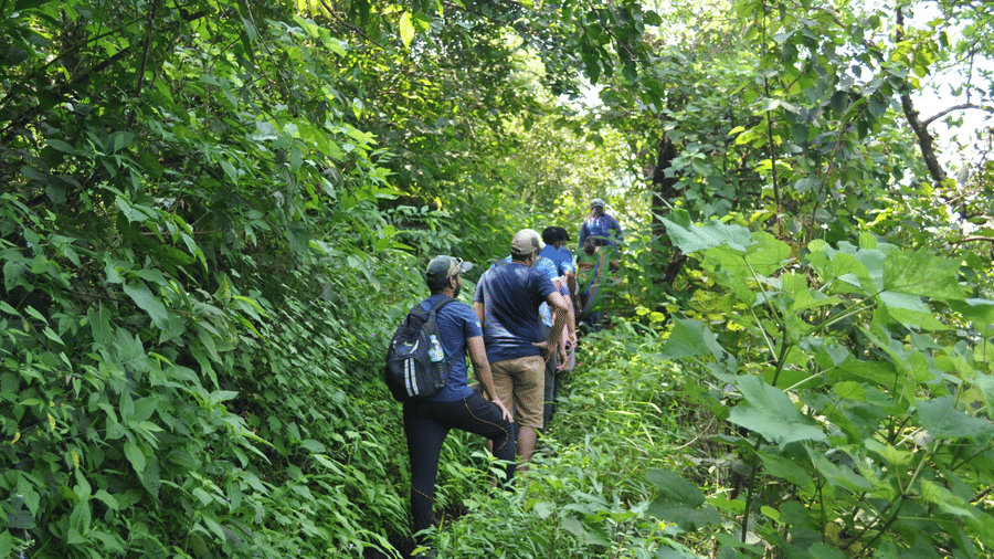 Guests at Forest Escapes Koyna explore a natural trail, trekking through dense greenery.