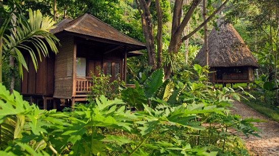 Rustic wooden chalets nestle amongst lush tropical greenery, surrounded by vibrant foliage and towering sunlit trees - Barefoot at Havelock