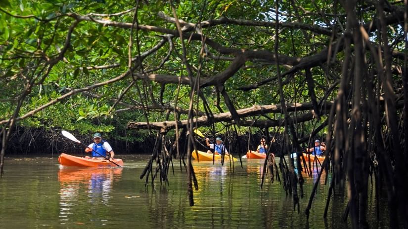 andaman007