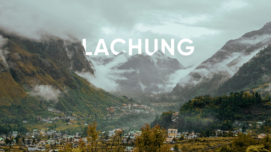 lachung noborder