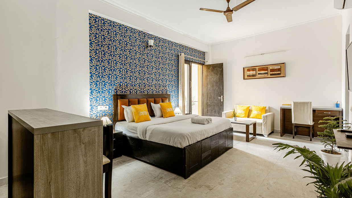 Lime Tree 2 23