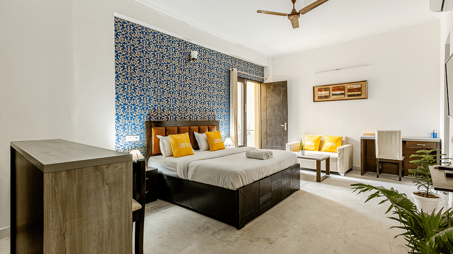 Lime Tree 2 23