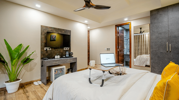 Comfortable double bed with a laptop open on a portable tray desk, next to a large green potted houseplant.