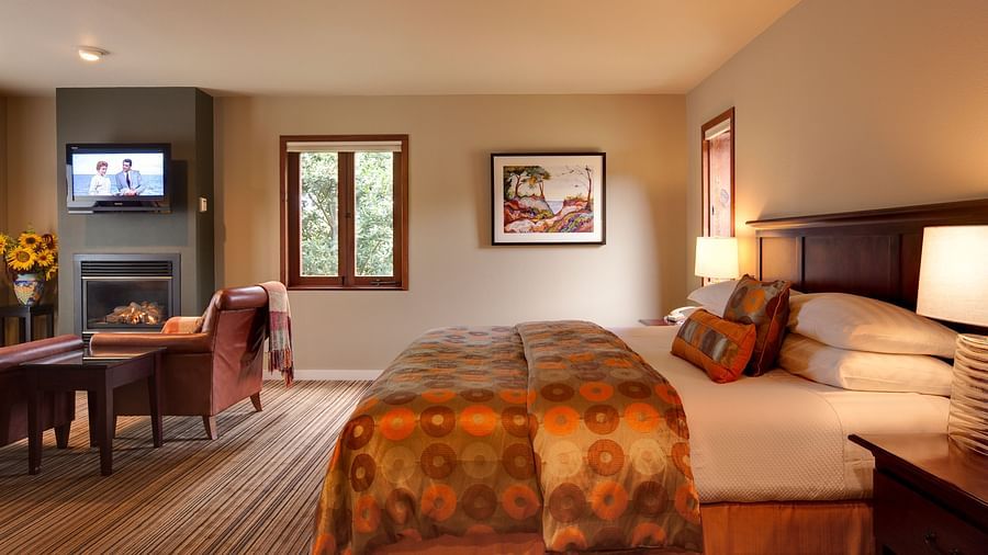 A spacious room in Mendocino with a big bed and scenic view from the window- Brewery Gulch Inn & Spa