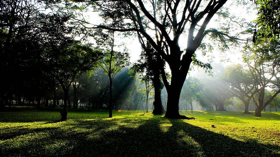 Cubbon Park  Bangalore