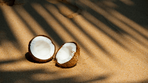 Fresh coconut halves resting on sunlit sand with soft shadows.