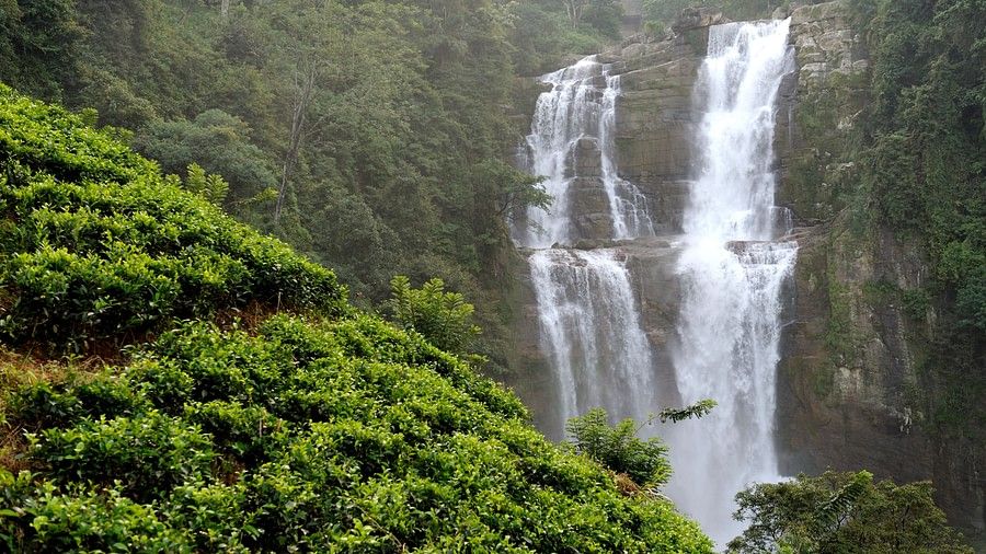 A powerful waterfall cascading down a lush cliff face.