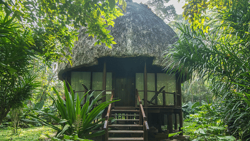 facade of Nicobari Villa with a thatched roof, surrounded by greenery and steps leading to the villa at Barefoot at Havelock.
