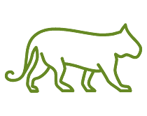An icon of a panther