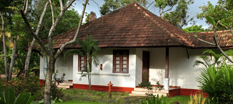 tmp 15195128251543388699