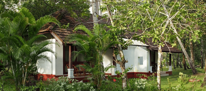 tmp 3114248851543388699