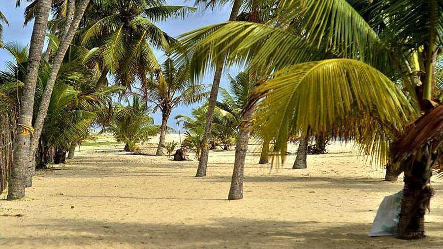 abad-turtle-beach-sea-side, Contact Beach Resort in Marari, Beach resorts in Allepey, 4 Star Resorts in Alleppey, Best Beach Resorts in Alleppey, Best Beach Resorts Near Cochin, Beach Resorts in Kerala