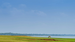 An overview of the Kabini Backwaters with green grass in the foreground, a solitary horse grazing and blue sky in the background.