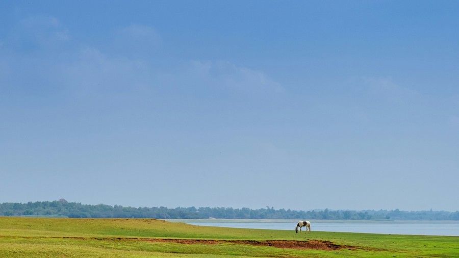 an overview of the kabini backwaters with blue sky in the background.