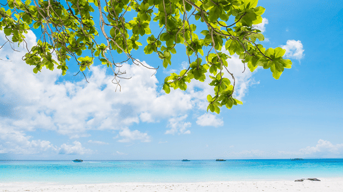 White sandy beach, turquoise sea, vibrant green leaves overhead, and a few boats floating under a bright blue sky with scattered clouds.