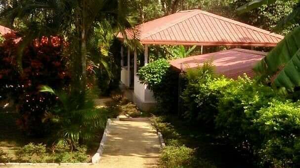 Young Island Resorts - Coorg Coorg Young Island Resorts Coorg 2