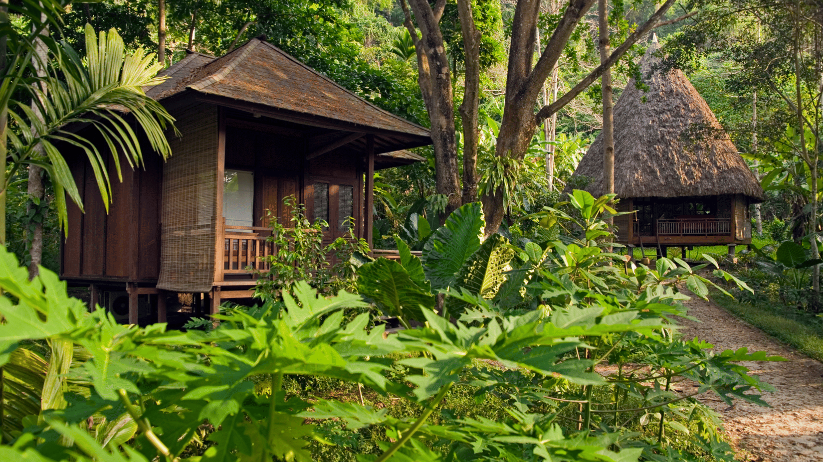 Rustic wooden chalets nestle amongst lush tropical greenery, surrounded by vibrant foliage and towering sunlit trees - Barefoot at Havelock