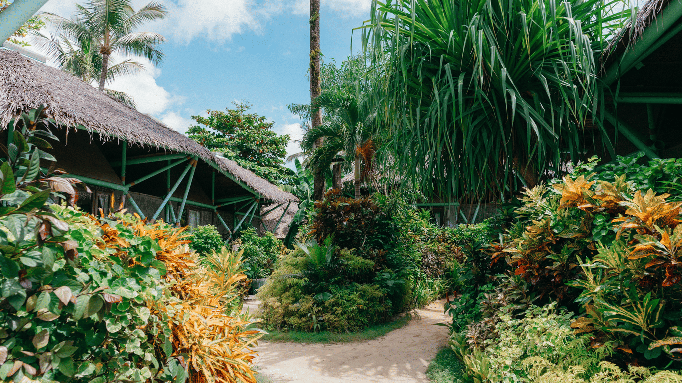 Sandy garden path at Bravo Beach Resort Siargao winding between thatched-roof cabanas, tall palms, and dense beds of crotons and tropical plants