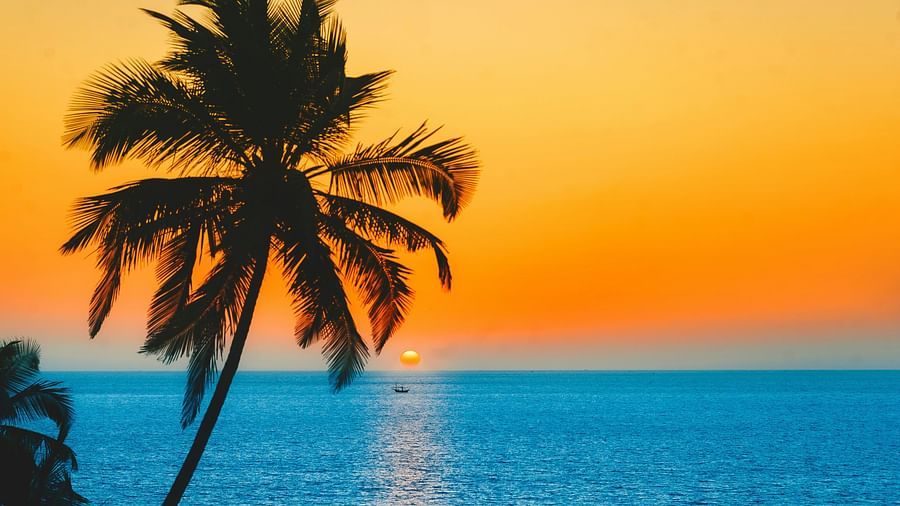 Silhouetted palm trees on a Goa beach at sunset, with the orange sun dipping towards a blue ocean.