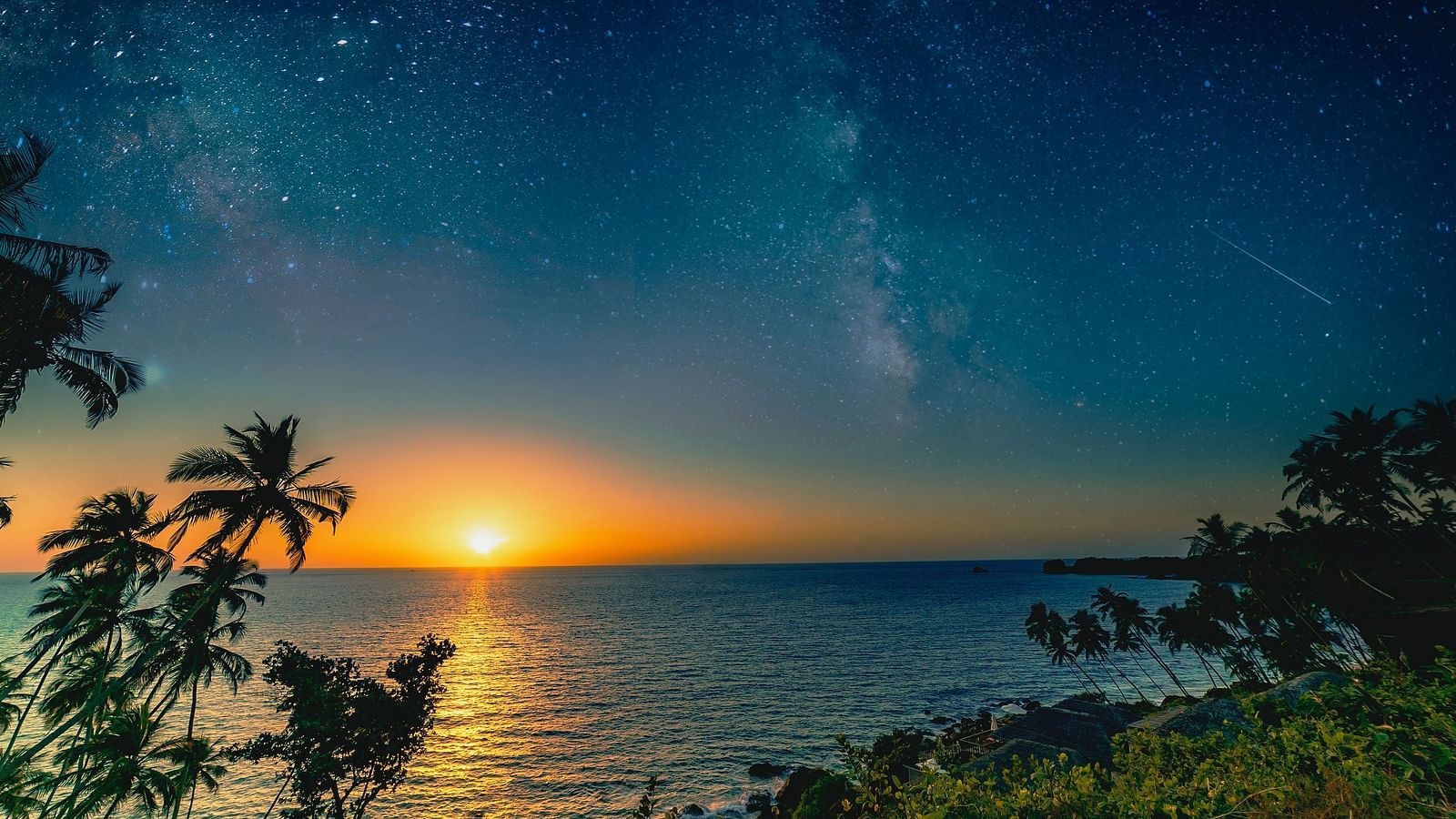 sunset as seen from a beach with trees in the foreground