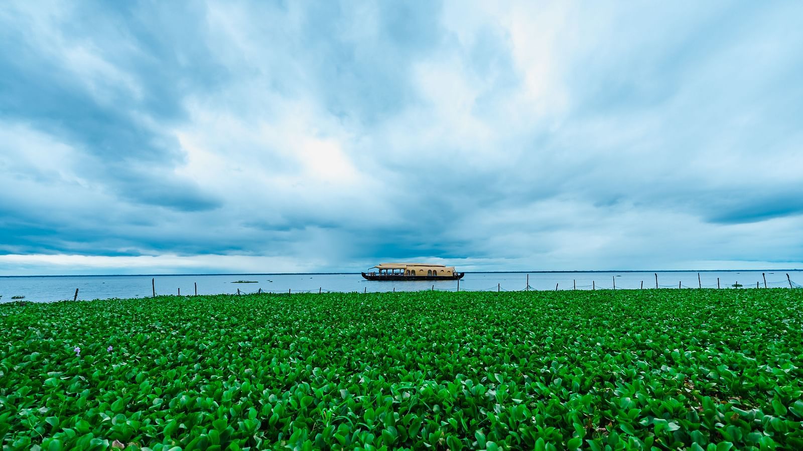 An image of a lake view with a boat drifting under soft clouds. - Rhythm Kumarakom
