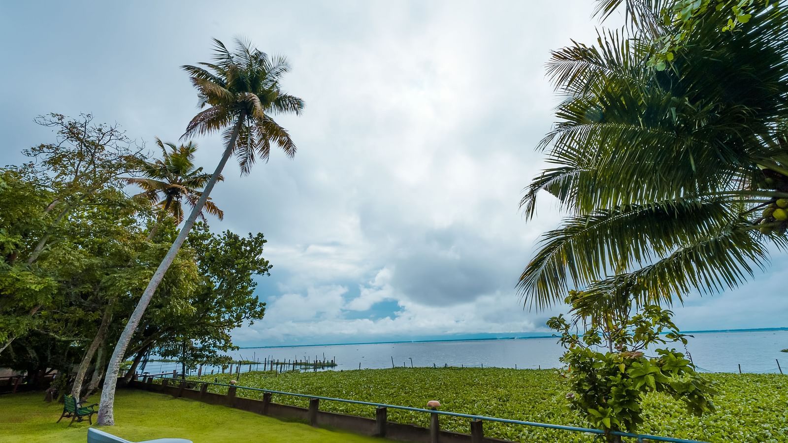 An image of an image of a field with scattered trees under a sky filled with soft, drifting clouds. - Rhythm Kumarakom