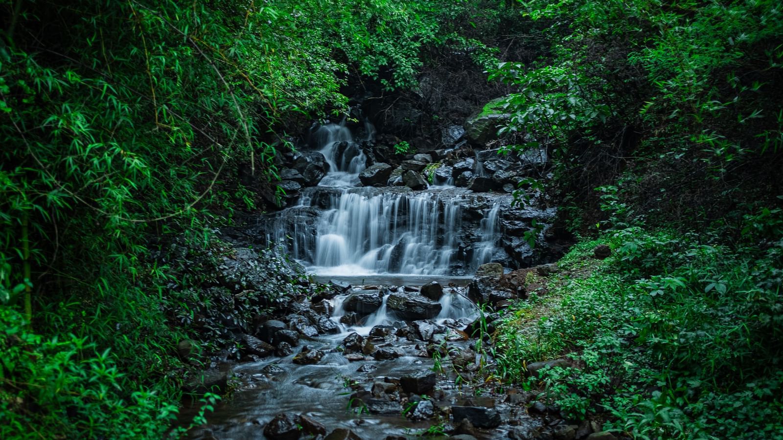 A close-up shot of a small stream with cascades of water flowing over mossy, dark rocks in a lush forest - Tranquil Piedmont Estates & Resort, Lonavala
