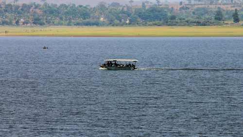 A solitary boat travelling on the Kabini lake with land in the background