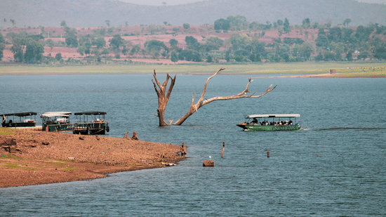 A river with calm water, a partially submerged dead tree, and a green boat carrying people. Several small boats are docked on the rocky shore, with distant hills and scattered trees in the background.