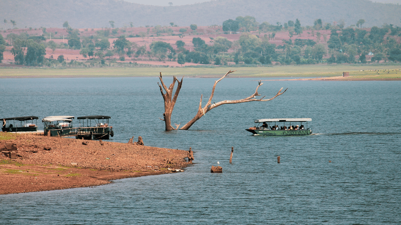 A river with calm water, a partially submerged dead tree, and a green boat carrying people. Several small boats are docked on the rocky shore, with distant hills and scattered trees in the background.
