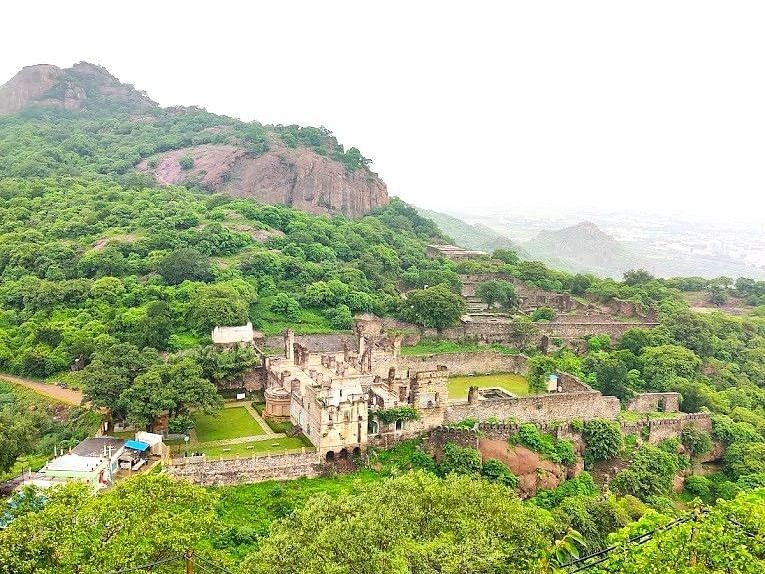 A lush green landscape with a distant mountain range.