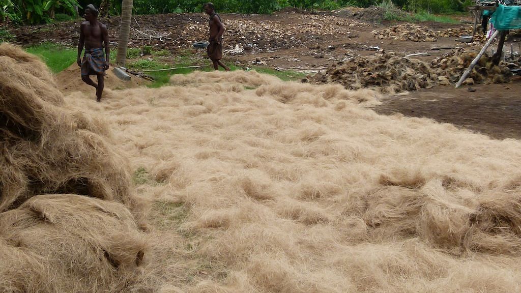 Coir factory with stands surrounding the area, set amid palm trees
