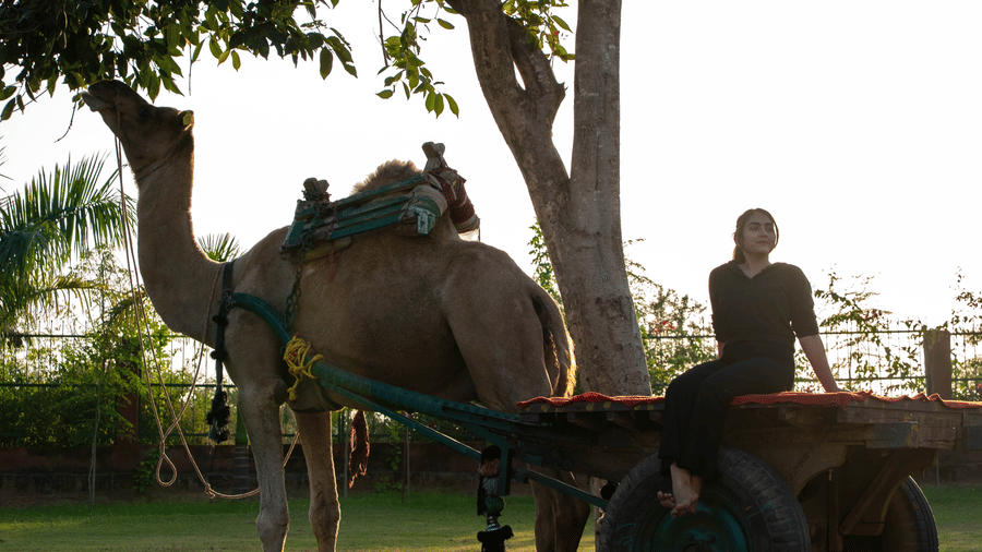 Bamboo Saa Jaipur   Processed Pictures   November 2025-203