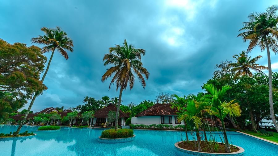 an image of a swimming pool with coconut trees in the middle of it - Rhythm Kumarakom