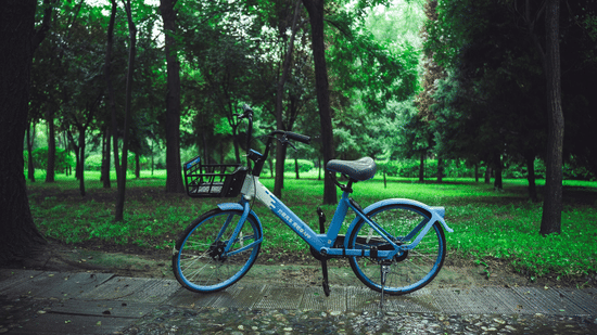 A blue bicycle parked along a peaceful tree-lined pathway surrounded by lush greenery, offering a serene wellness and nature escape experience.