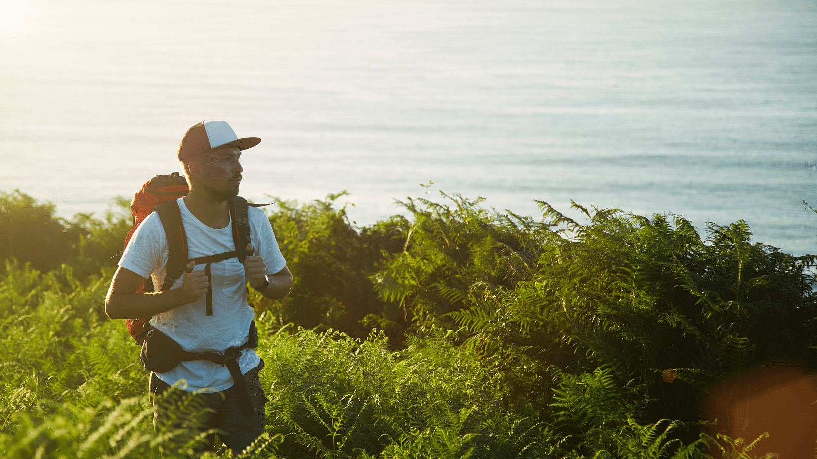 Man hiking on a fern-covered hillside with ocean in the background, wearing a backpack and baseball cap.
